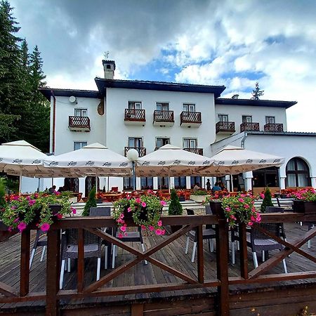 Hotel Vlasina - Vlasinsko Jezero Vlasina Rid Exteriör bild