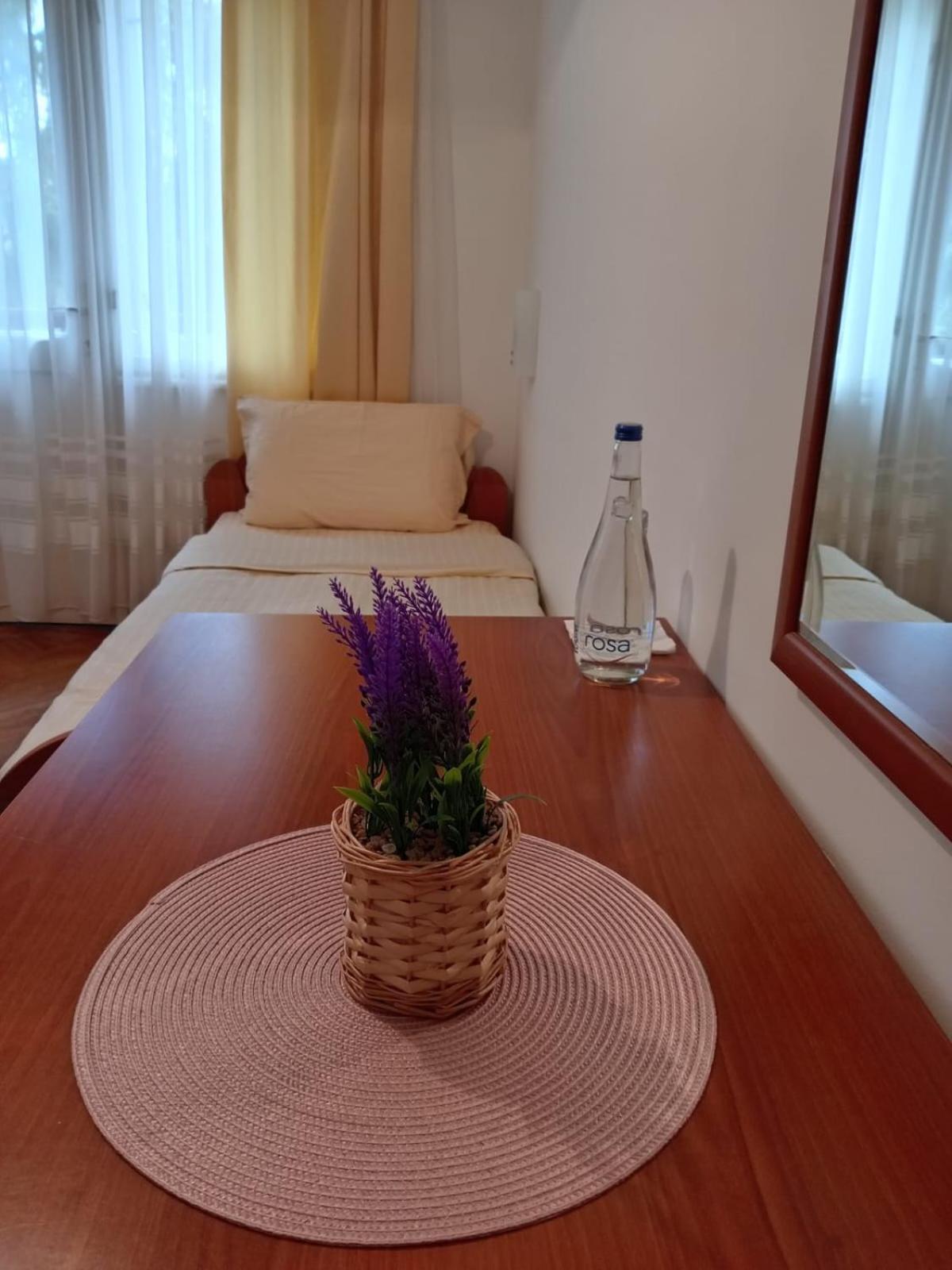 Hotel Vlasina - Vlasinsko Jezero Vlasina Rid Exteriör bild