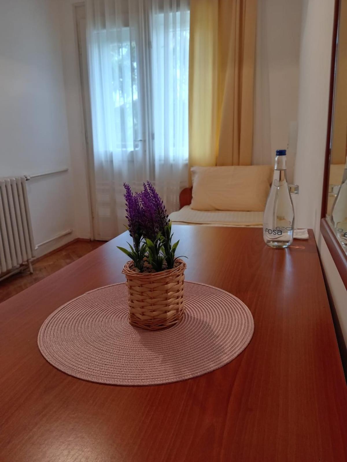 Hotel Vlasina - Vlasinsko Jezero Vlasina Rid Exteriör bild