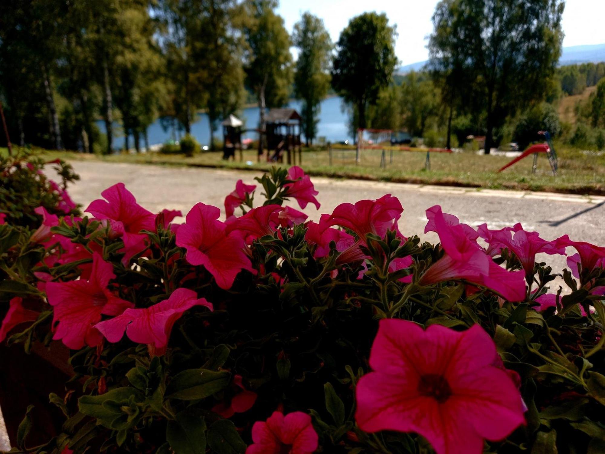 Hotel Vlasina - Vlasinsko Jezero Vlasina Rid Exteriör bild