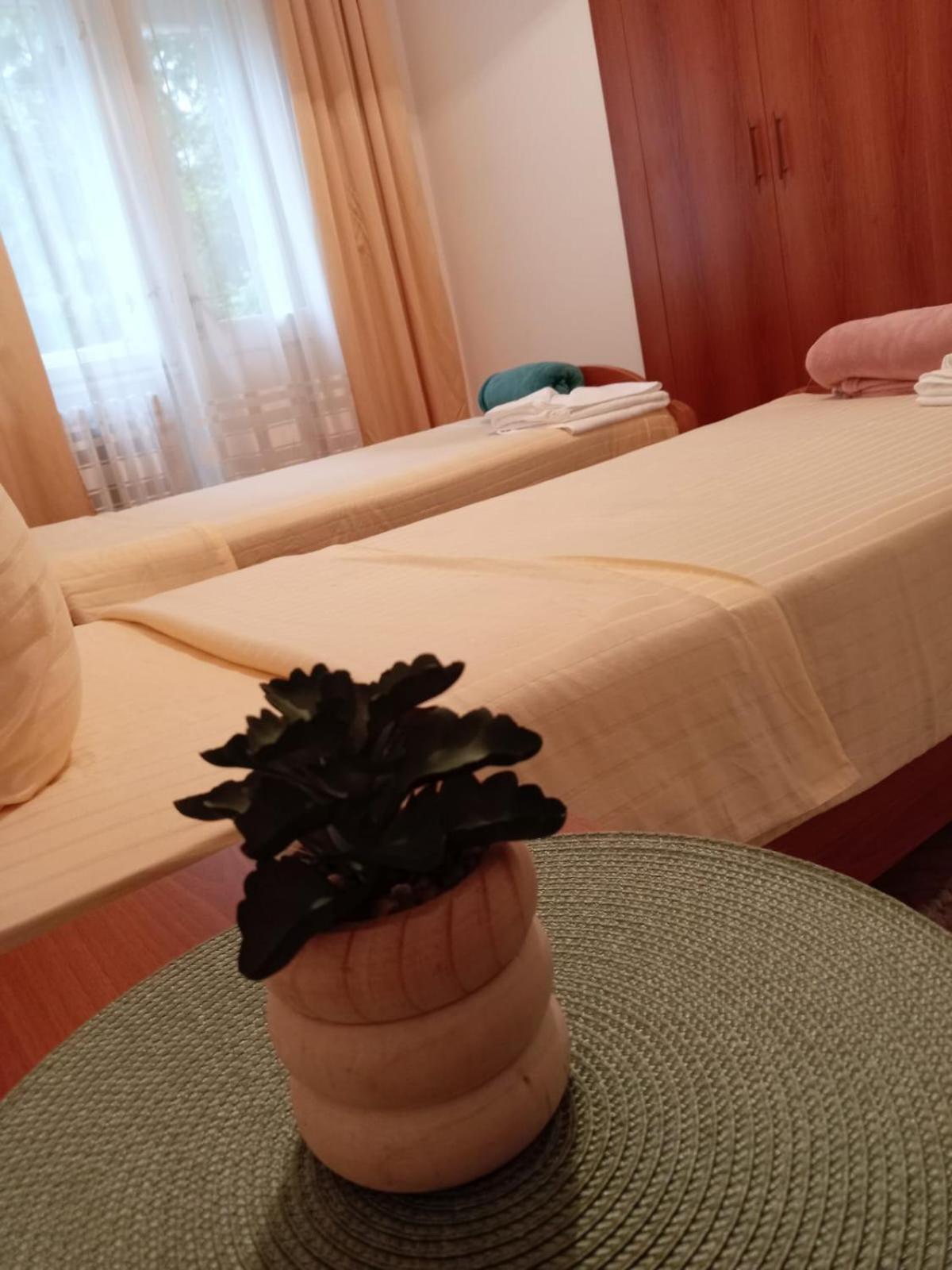Hotel Vlasina - Vlasinsko Jezero Vlasina Rid Exteriör bild